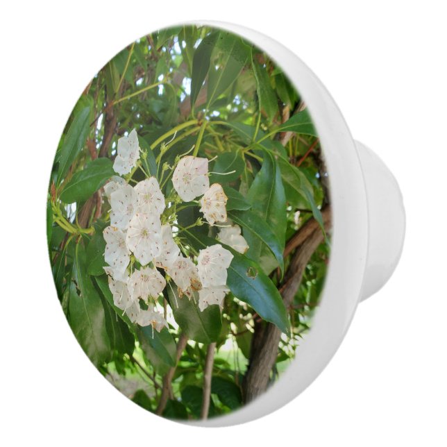 White Mountain Laurel Green Leaves Ceramic Knob (Right)