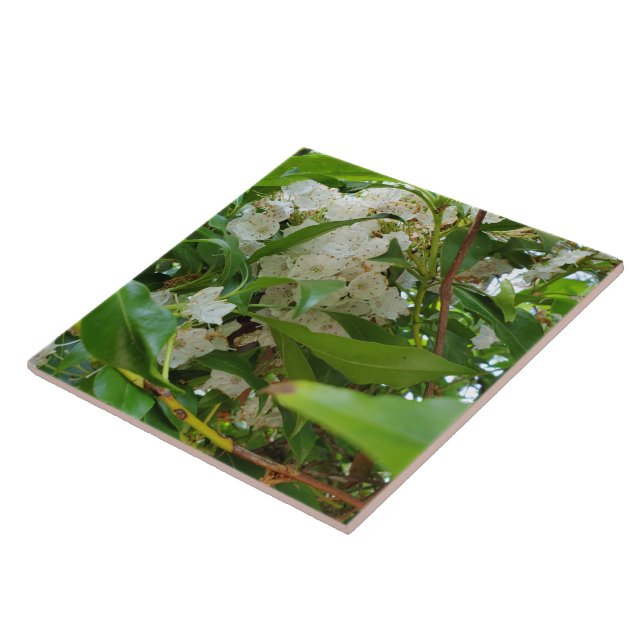 White Mountain Laurel Leaves Ceramic Tile (Side)