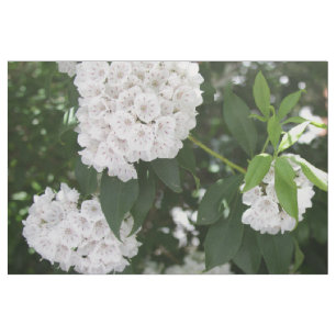 White Mountain Laurel Star Shaped Clusters Fabric