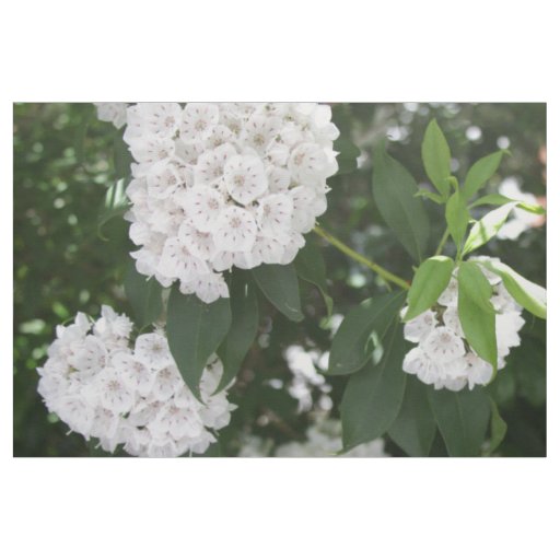 White Mountain Laurel Star Shaped Clusters Fabric