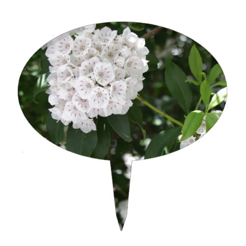 White Mountain Laurel Star Shaped Flowers Cake Topper