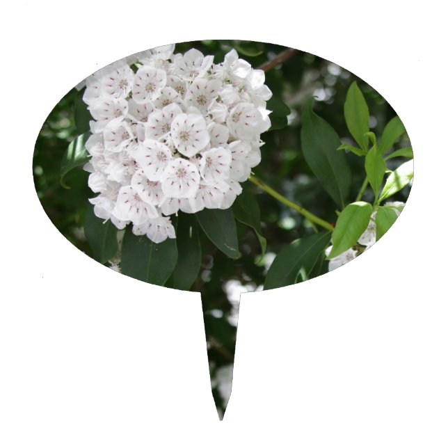 White Mountain Laurel Star Shaped Flowers Cake Topper (Front)