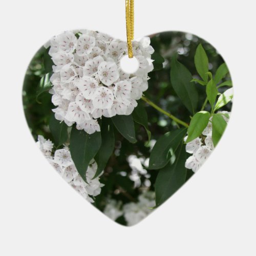 White Mountain Laurel Star Shaped Flowers Ceramic Ornament