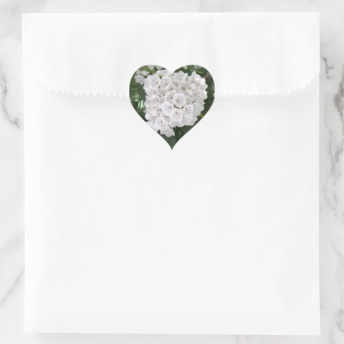 White Mountain Laurel Star Shaped Flowers Heart Sticker