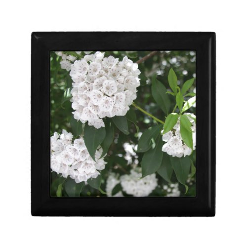 White Mountain Laurel Star Shaped Flowers Keepsake Box