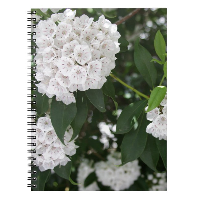 White Mountain Laurel Star Shaped Flowers Notebook (Front)