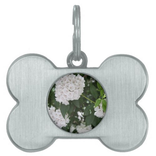 White Mountain Laurel Star Shaped Flowers Pet Name Pet ID Tag