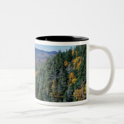 White Mountain NF NH The view from near Two_Tone Coffee Mug
