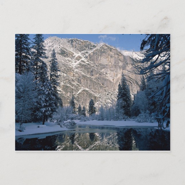 White Mountain Reflections Postcard (Front)