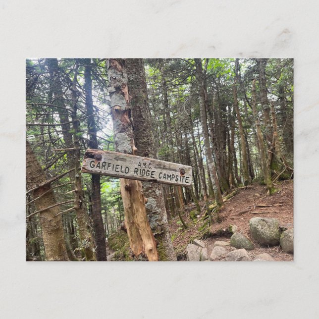 White Mountains Garfield Ridge Campsite Postcard (Front)