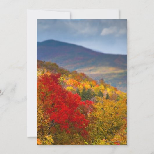 White Mountains National Forest (Front)