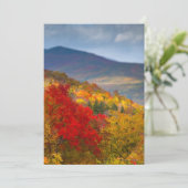 White Mountains National Forest (Standing Front)