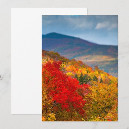 White Mountains National Forest (Front/Back)