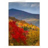 White Mountains National Forest (Front)