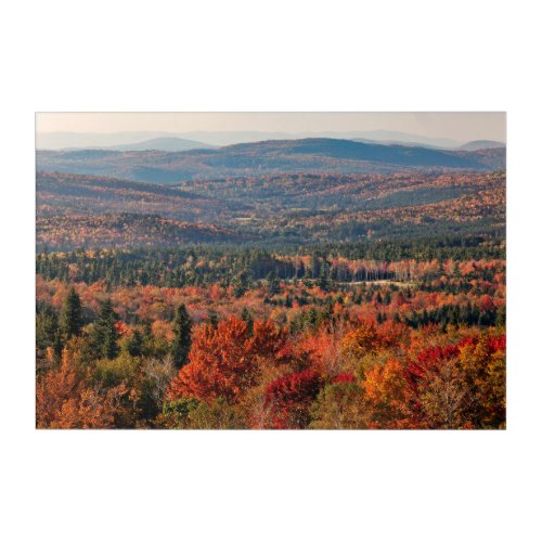 White Mountains National Forest  New Hampshire Acrylic Print