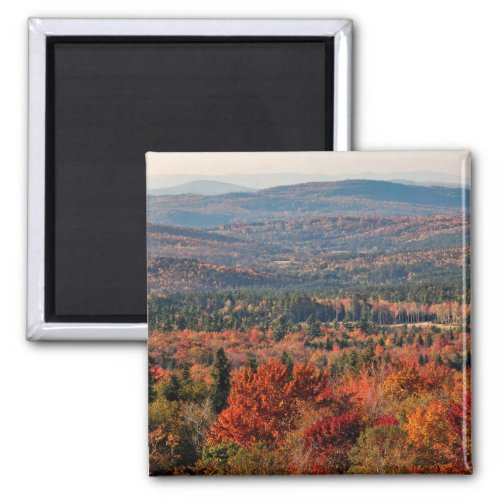 White Mountains National Forest  New Hampshire Magnet