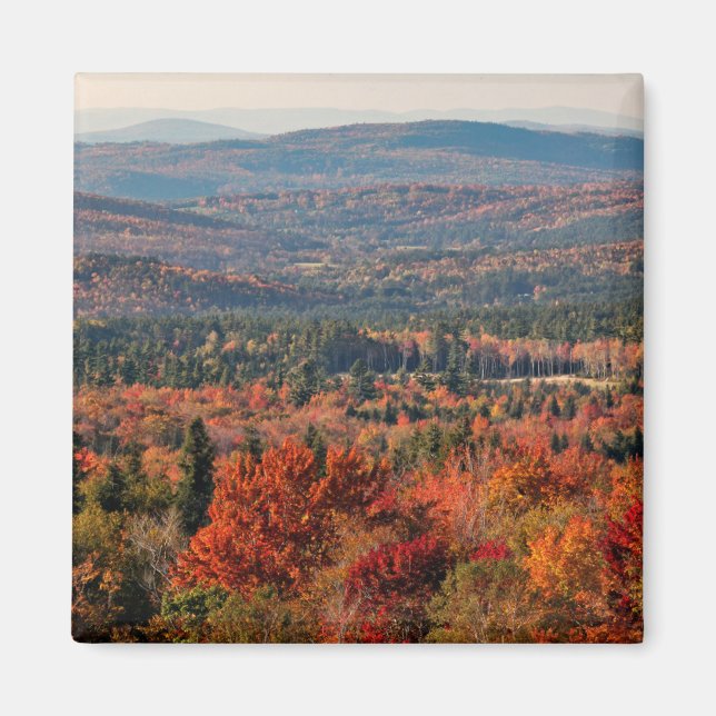 White Mountains National Forest | New Hampshire Magnet (Front)