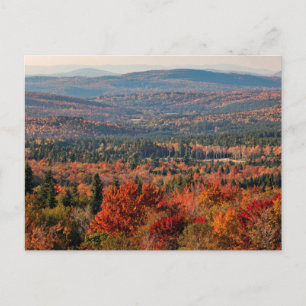 White Mountains National Forest New Hampshire Postcard