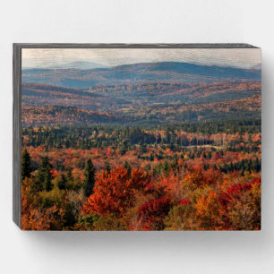 White Mountains National Forest   New Hampshire Wooden Box Sign