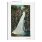 White Mountains Nat'l Forest (Front)