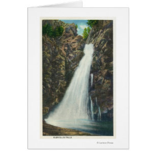 White Mountains Nat'l Forest