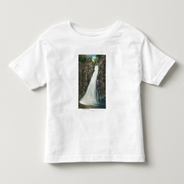 White Mountains Nat'l Forest Toddler T-shirt (Front)