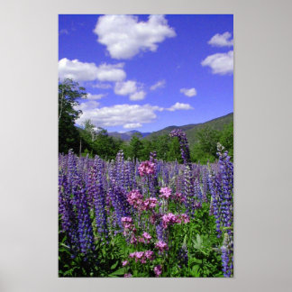 White Mountains Poster