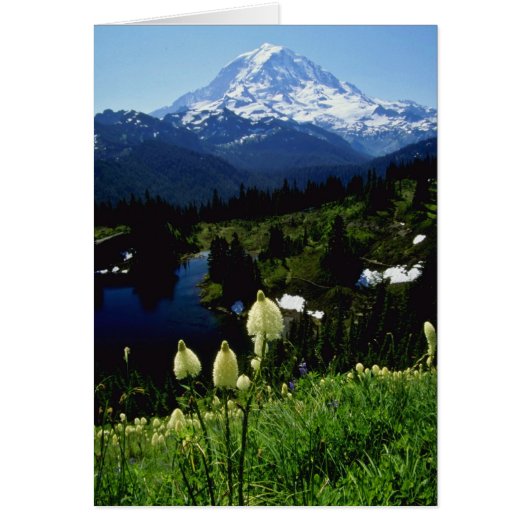 white Mt. Rainier flowers Cards (Front)