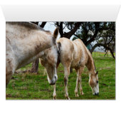 White Muddy Horses, (Inside Horizontal (Bottom))
