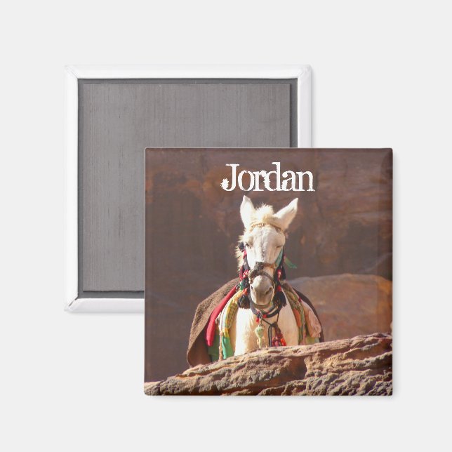 White Mule, Petra Jordan Magnet (Front/Back)