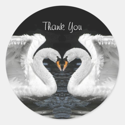 White Mute Swan Mirror Image _ Thank You Classic Round Sticker