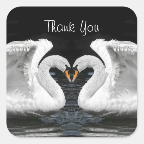 White Mute Swan Mirror Image _ Thank You SQ Square Sticker
