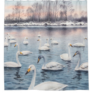 White mute swan on a lake. Watercolor paintingswan Shower Curtain