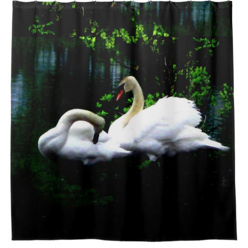 White Mute Swans Shower Curtain
