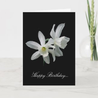 White Narcissus Birthday