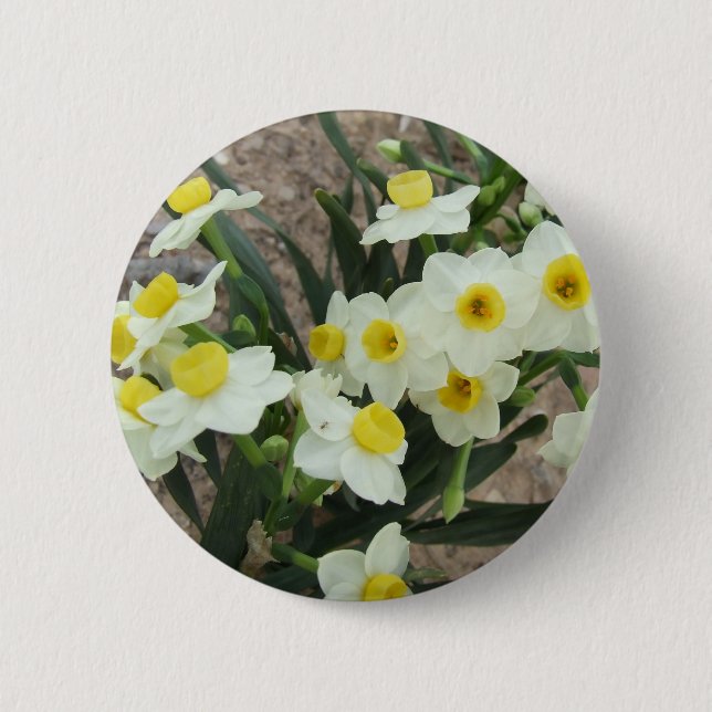 White Narcissus Flowers Button (Front)