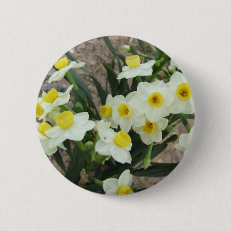 White Narcissus Flowers Button