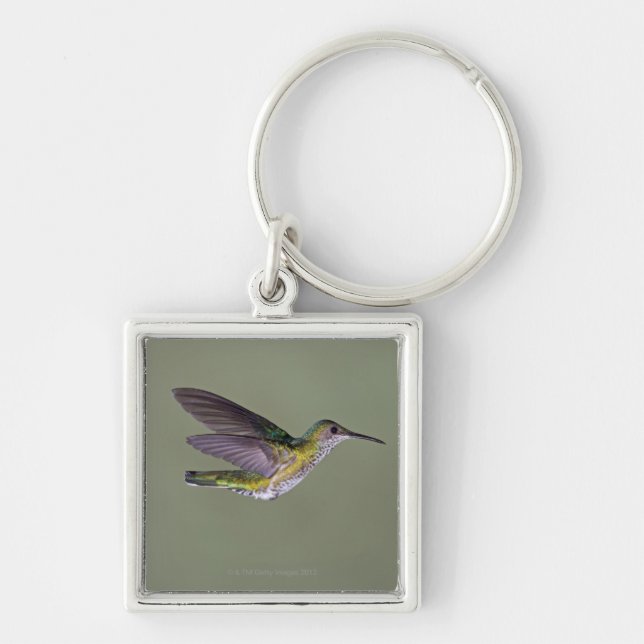 White-necked Jacobin Florisuga melivora Costa Keychain (Front)