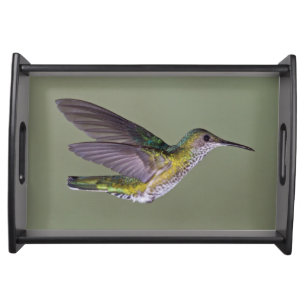 White-necked Jacobin Florisuga melivora Costa Serving Tray