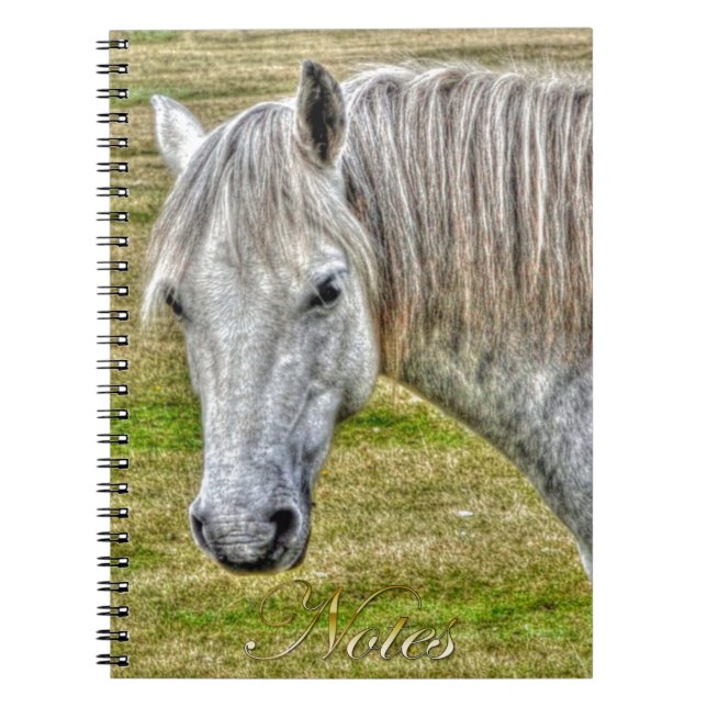 White New Forest Pony Wild Horse Notebook (Front)