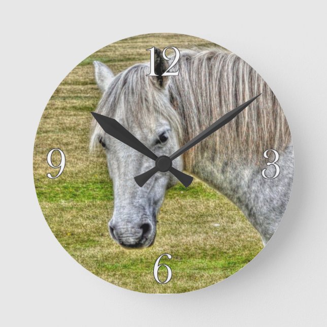 White New Forest Pony Wild Horse Round Clock (Front)