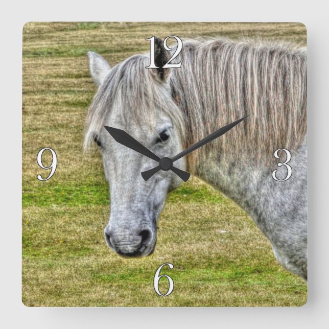 White New Forest Pony Wild Horse Square Wall Clock (Front)