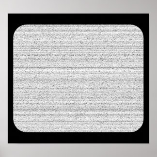 White Noise. Black and White Snowy Grain. Poster