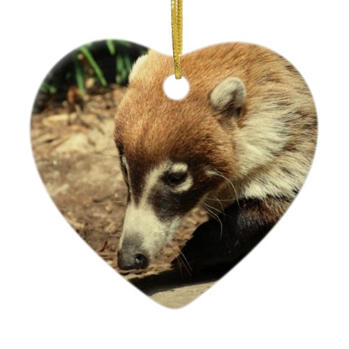 White Nosed Coati Ornament