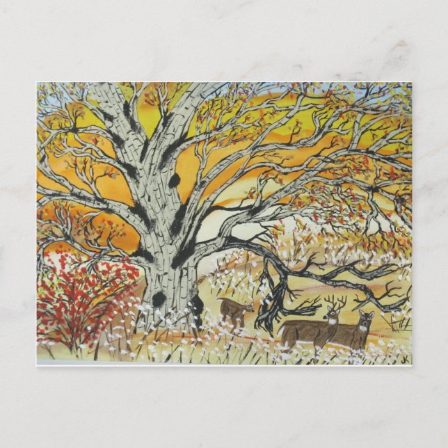 White Oak and Whitetails Postcard (Front)