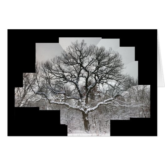 White Oak in Winter (Front Horizontal)