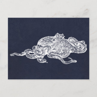 White Octopus Postcard