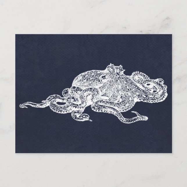 White Octopus Postcard (Front)