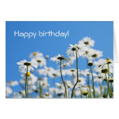 White on blue (Front Horizontal)