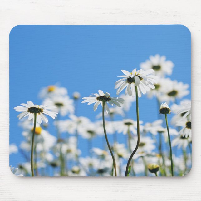 White on blue mouse pad (Front)